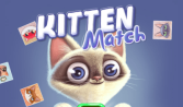 Kitten Match